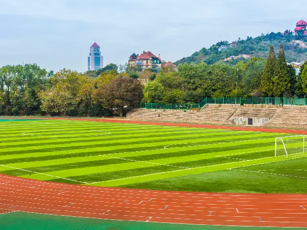 Sports Grounds & Courts